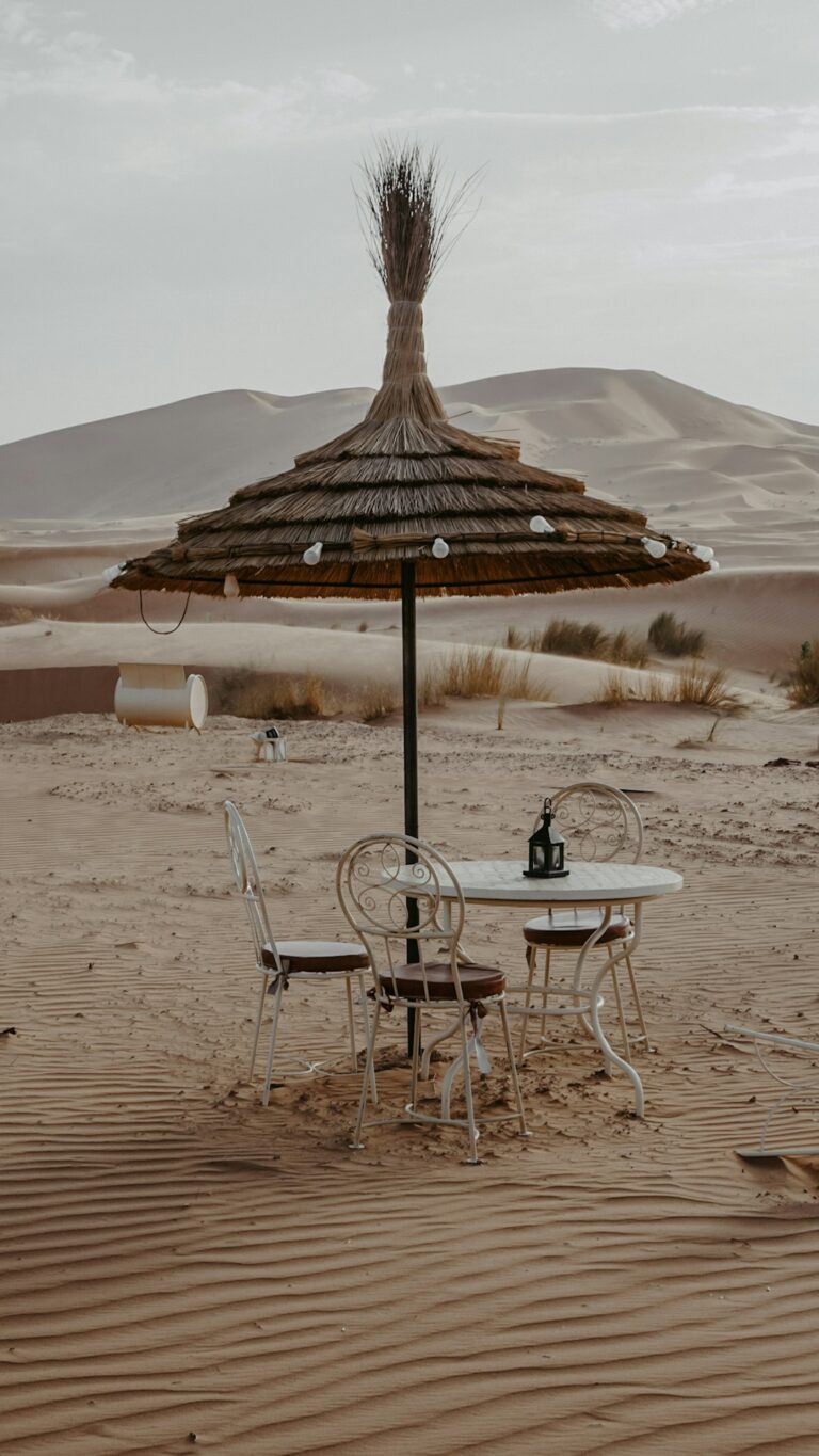 Outdoor Oasis: Stunning Patio and Backyard Design Ideas